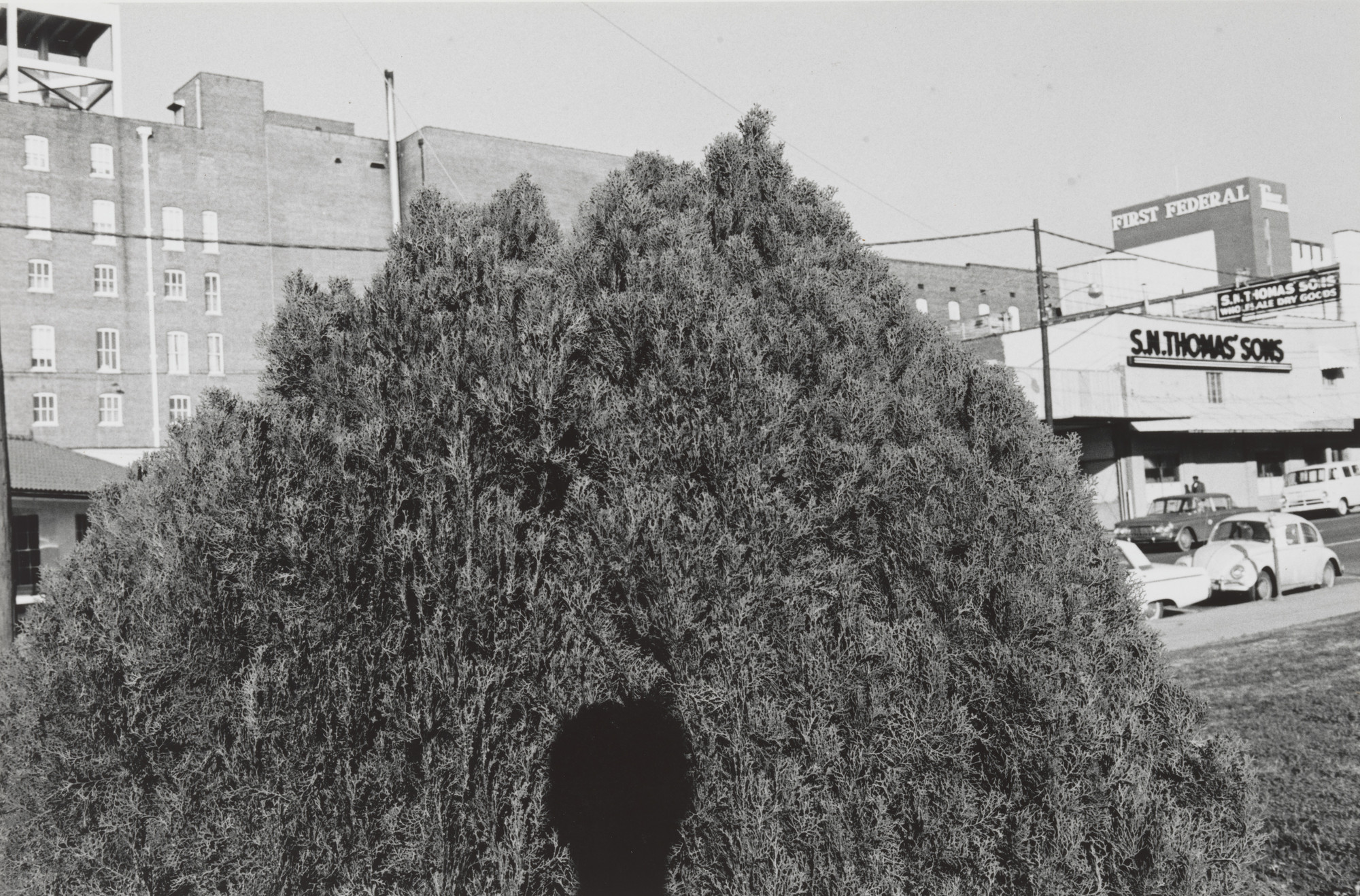 Lee Friedlander. Southern United States. 1966