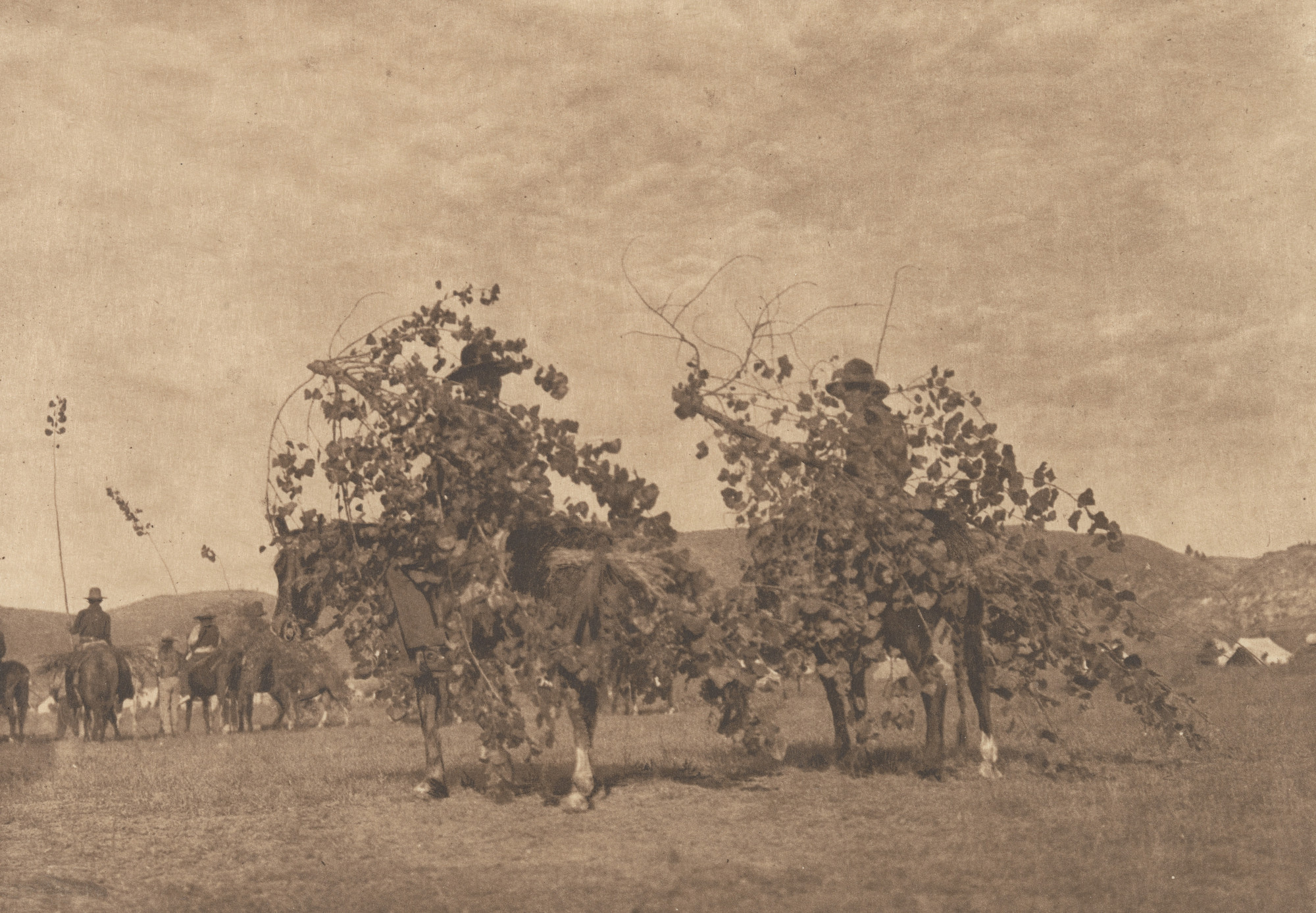 Edward Curtis. Boughs for the Alter, Cheyenne. 1911