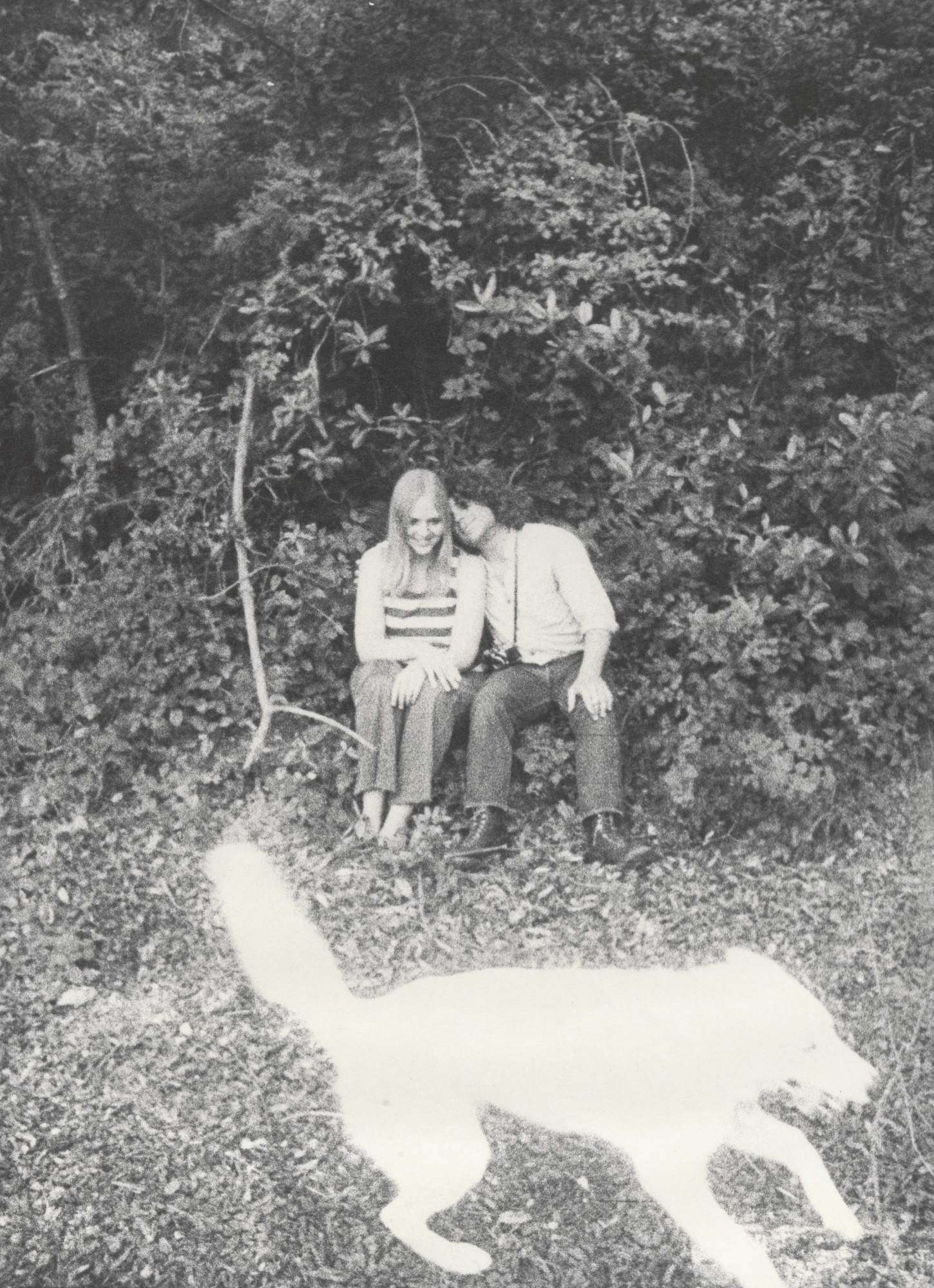 Bill Arnold. Diane, Steve and Honey
