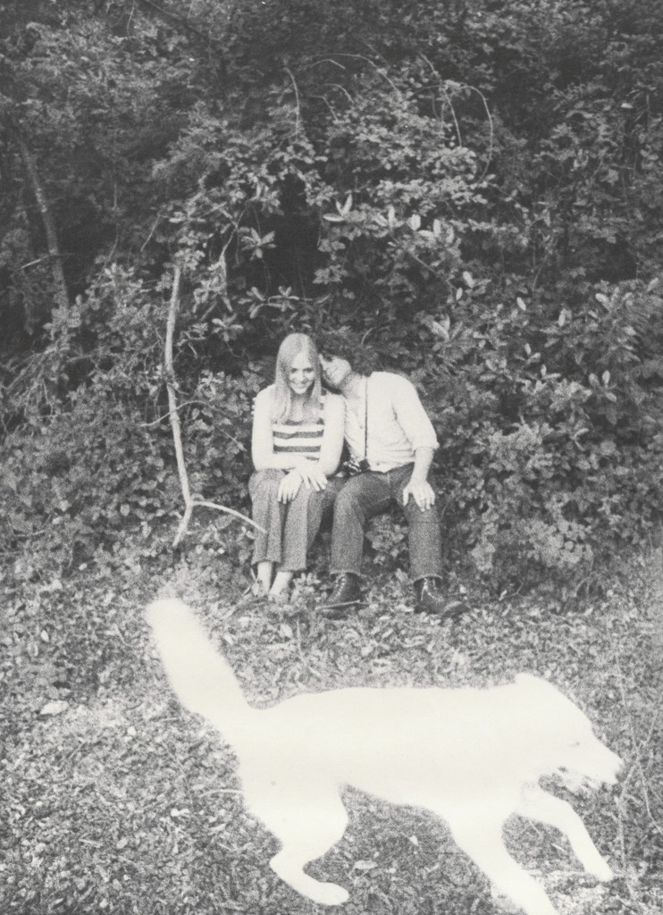 Diane, Steve and Honey by Bill Arnold