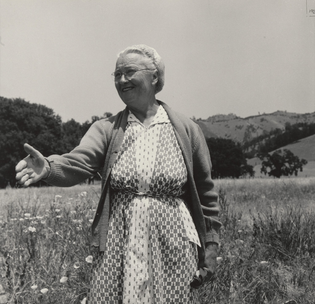 Berryessa Valley, Napa County, California