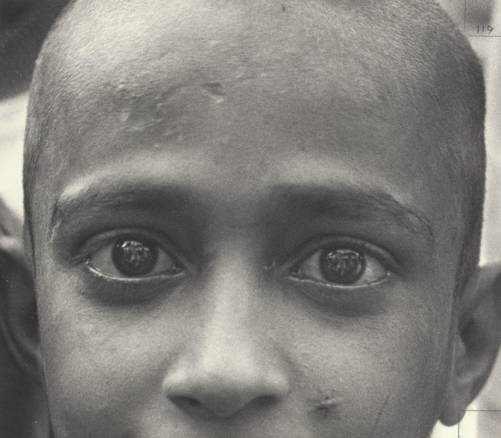 Close-up