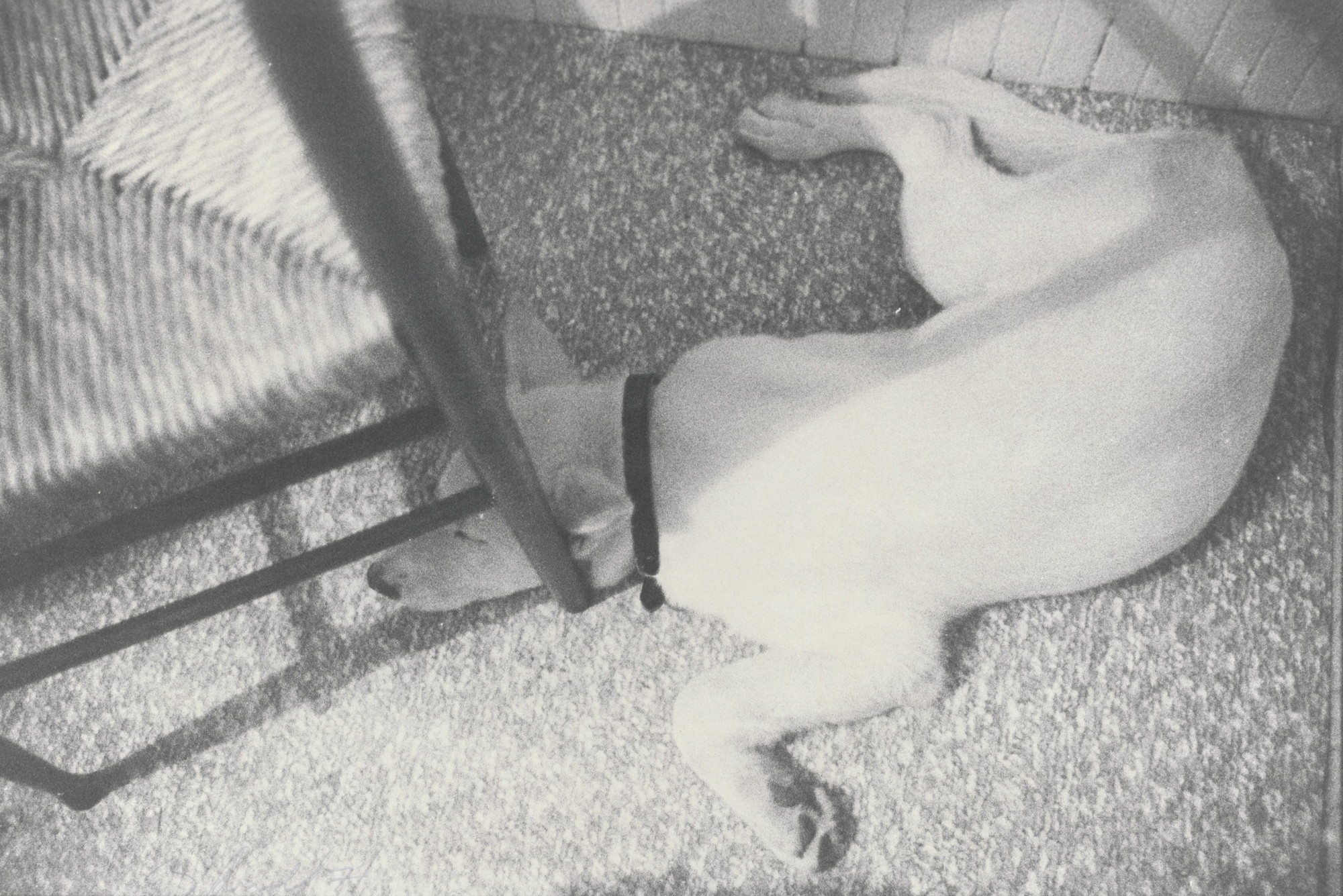 Bill Arnold. Honey under Chair. 1971