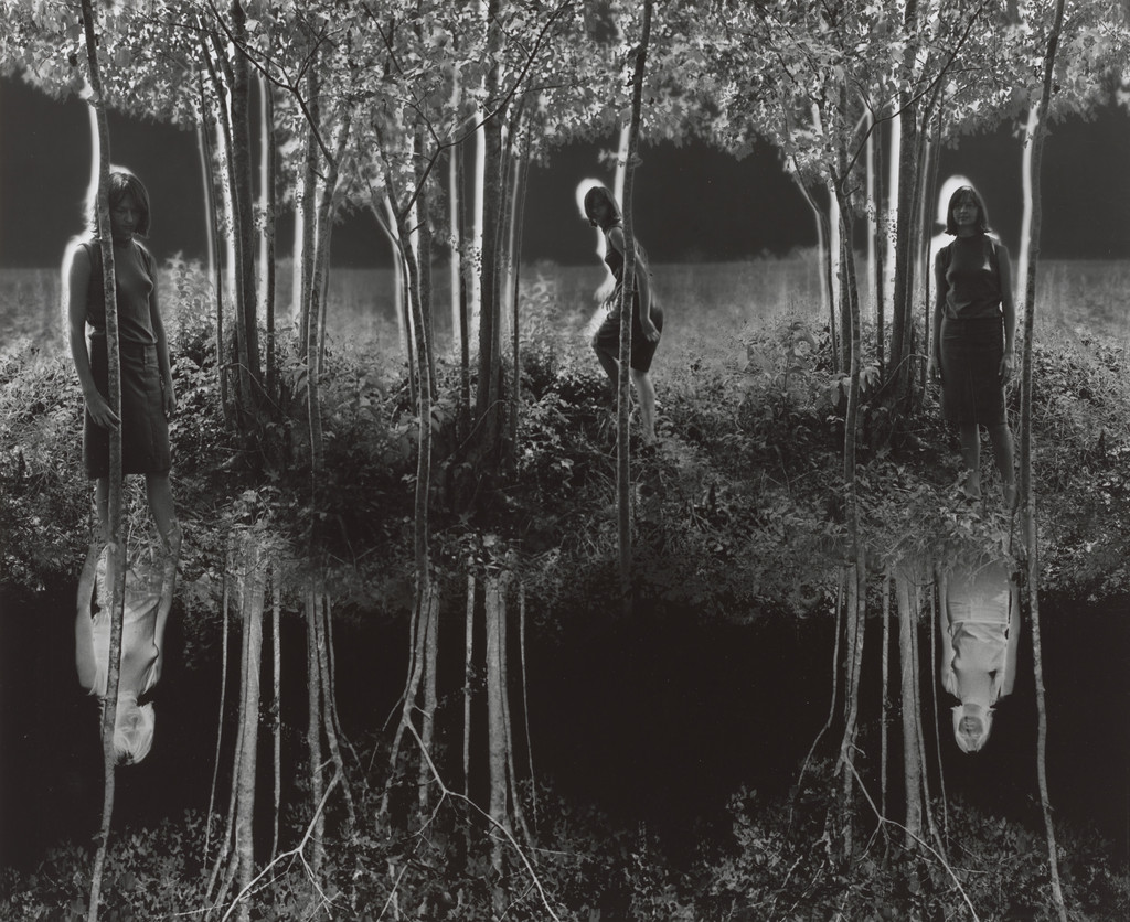Small Woods Where I Met Myself