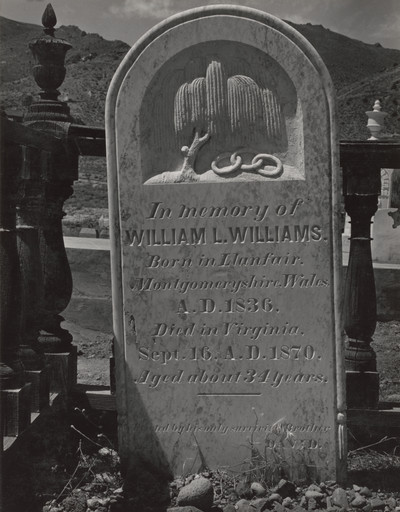 In Virginia City Graveyard
