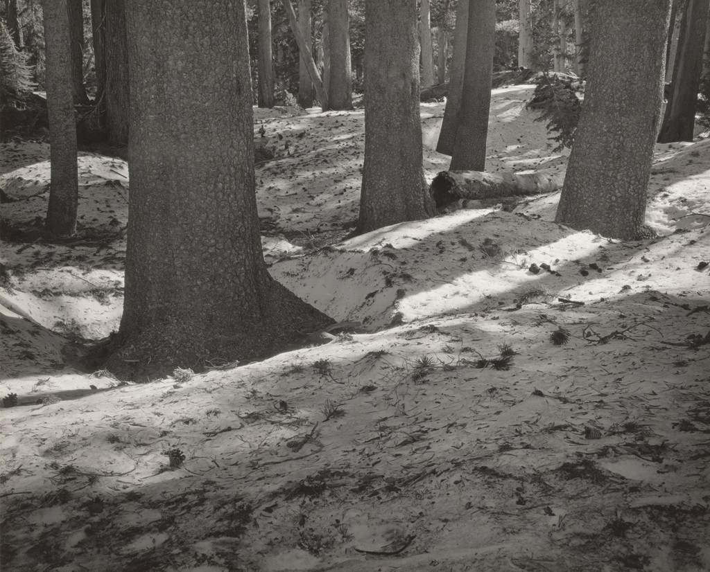 Summer Snow Near Agnew Pass, California