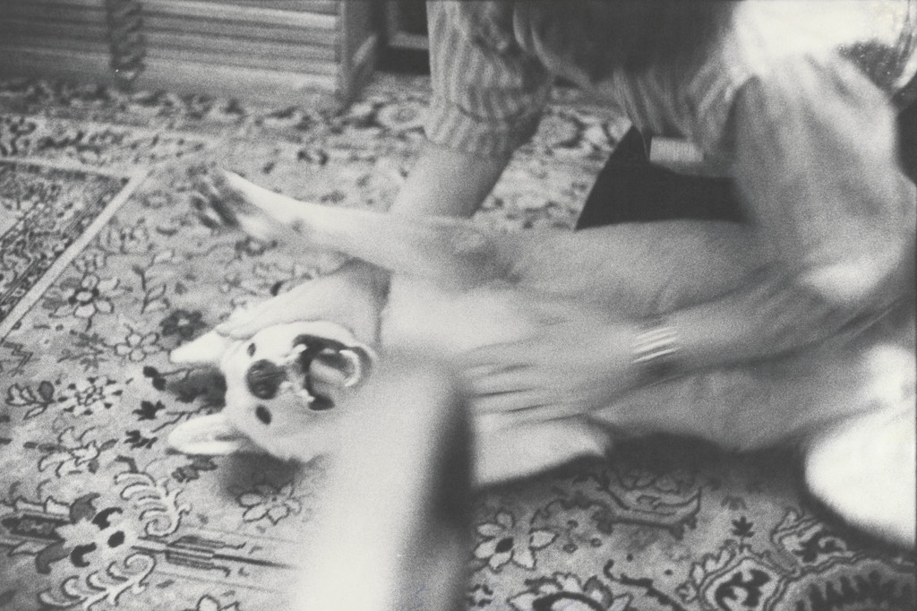Steve Rubbing Honey on Rug, Bill Arnold, c. 1971