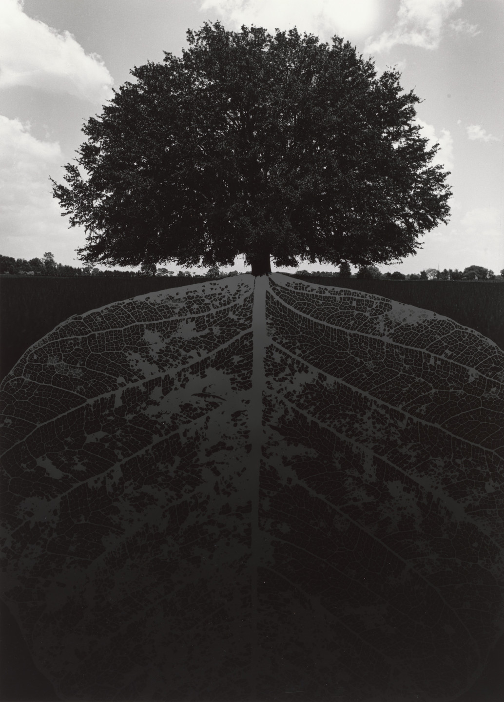 Jerry Uelsmann. Untitled. 1964