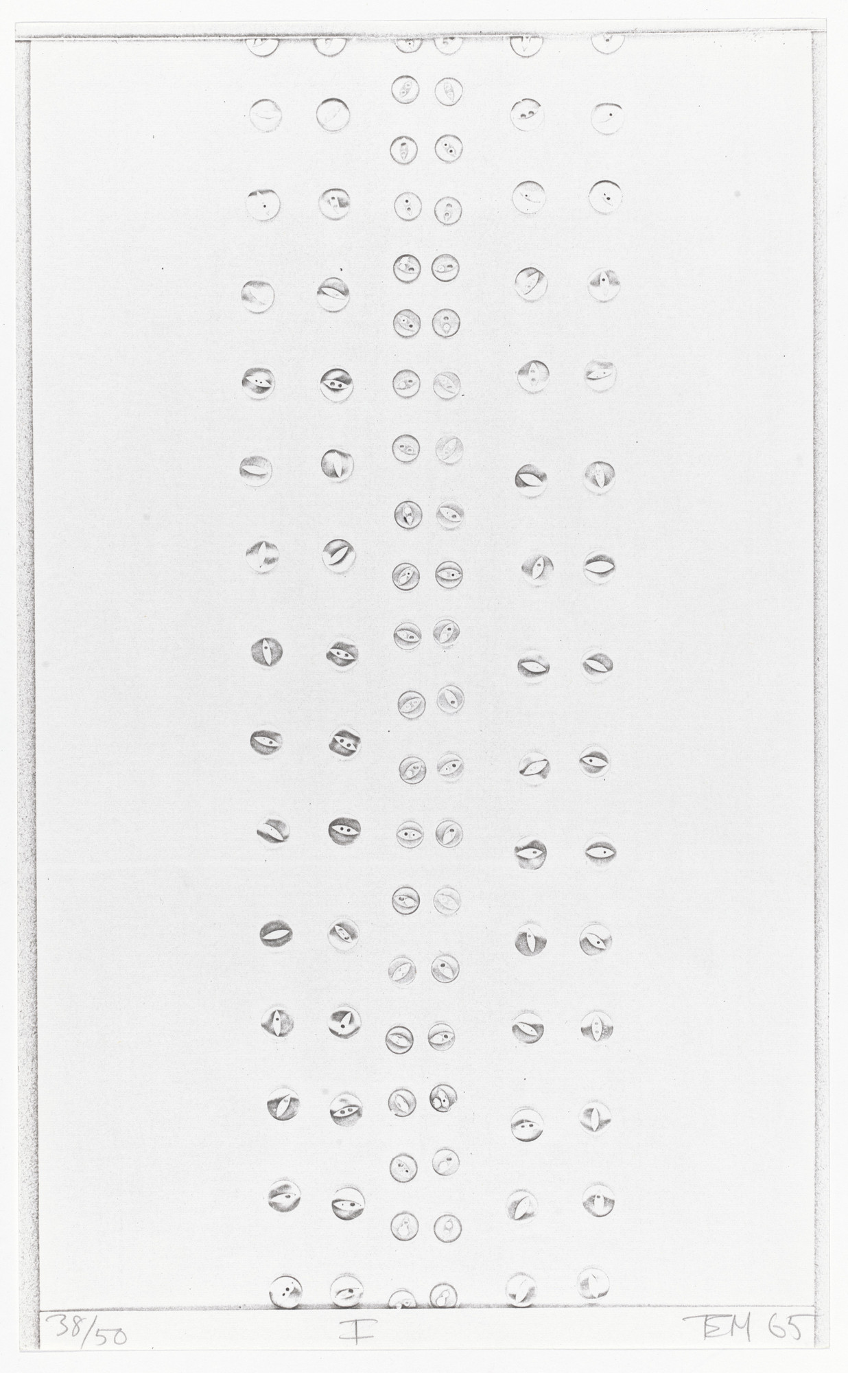 illustrations for tender buttons moma