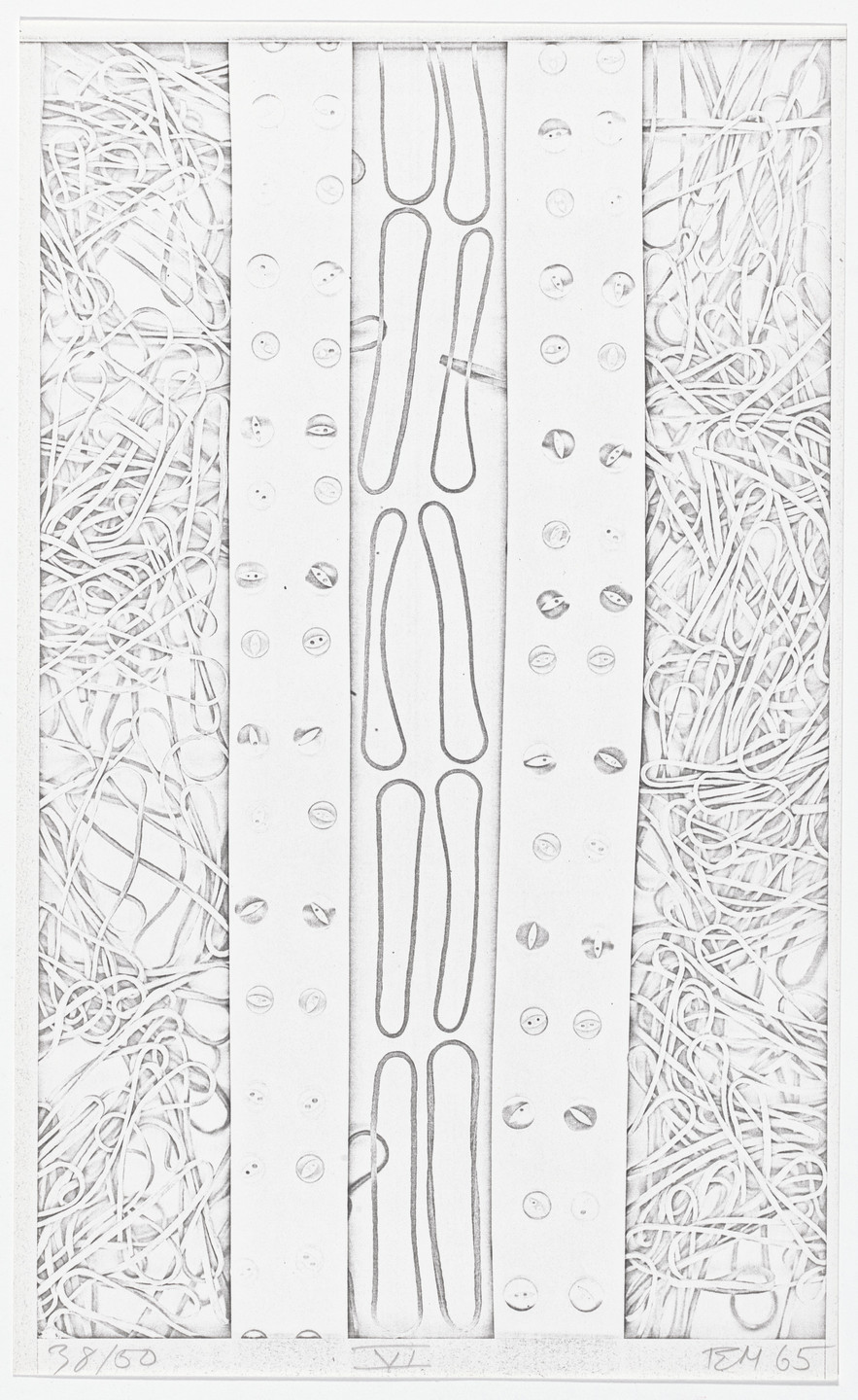 Edward Meneeley. Untitled from Illustrations for Tender Buttons. 1965