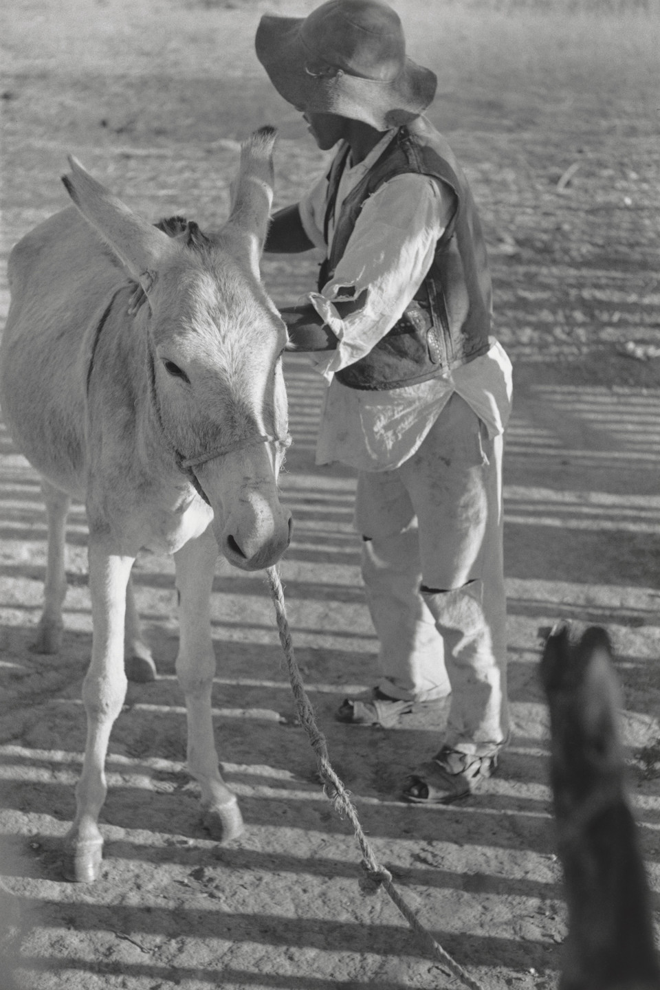 David Vestal. Vaqueiro, Xique-Xique, Sertao da Bahia, Brazil. 1961