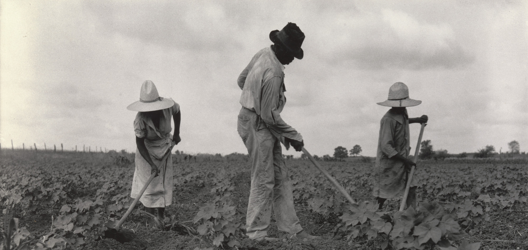 Dorothea Lange. Sharecroppers, Eutaw, Alabama. July 1936