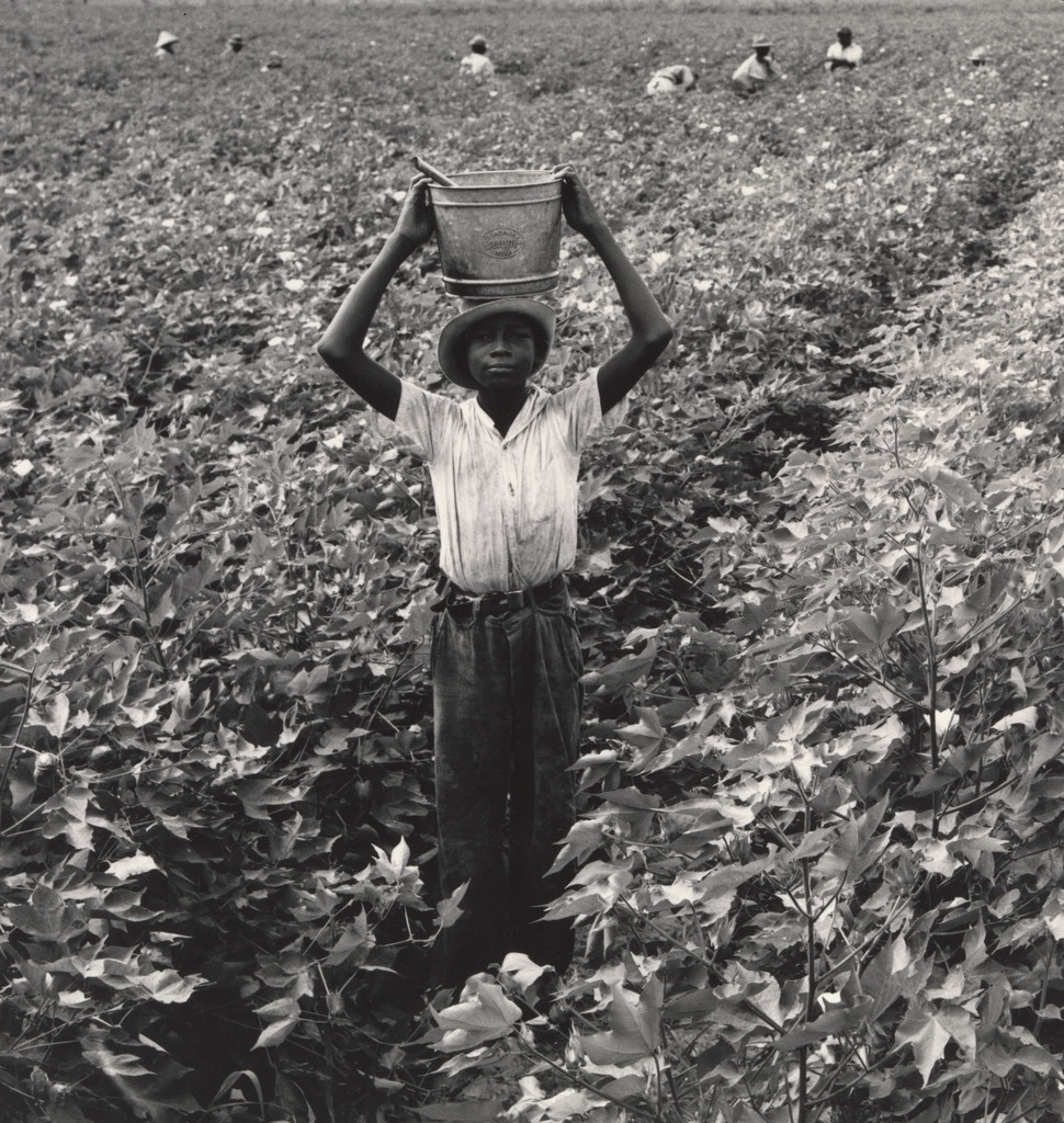 Water Boy, Mississippi Delta