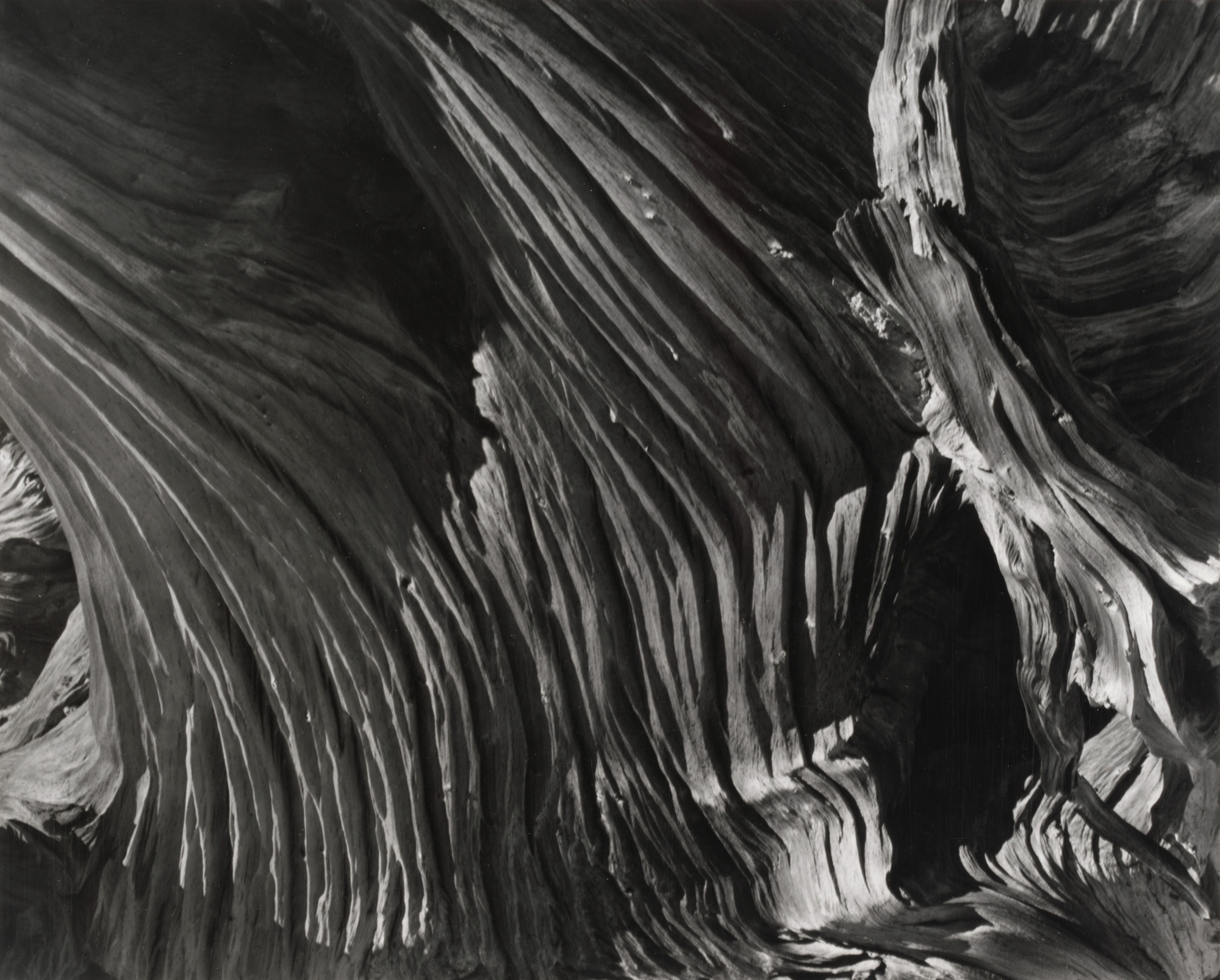 Cedric Wright. Wood Pattern, High Sierra
