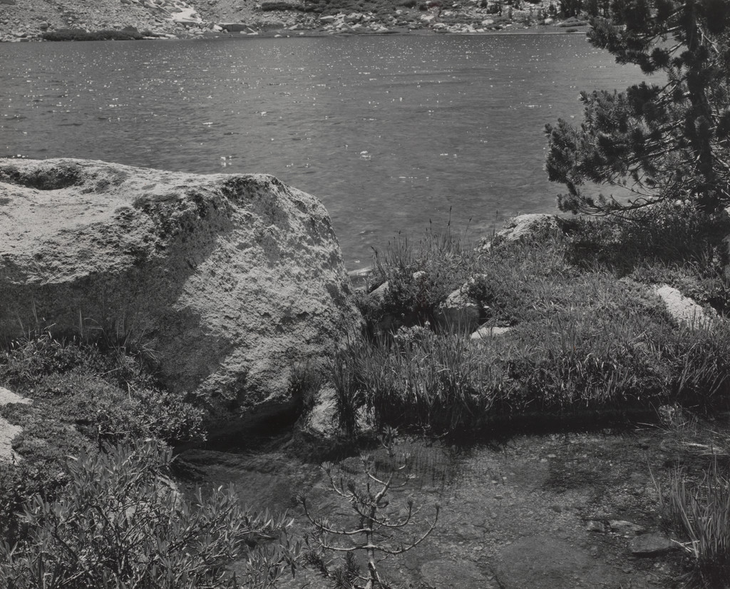 Young Lake