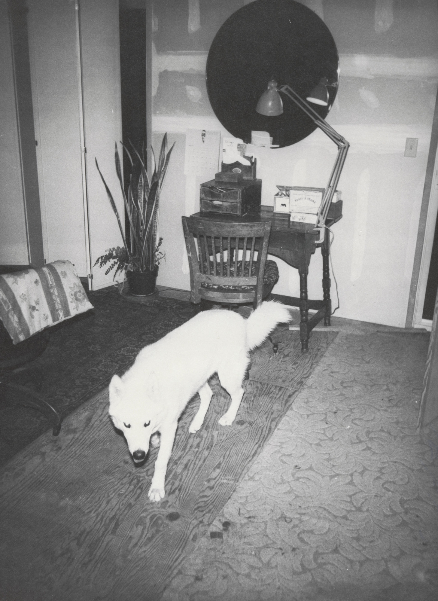 Bill Arnold. Honey in Basement