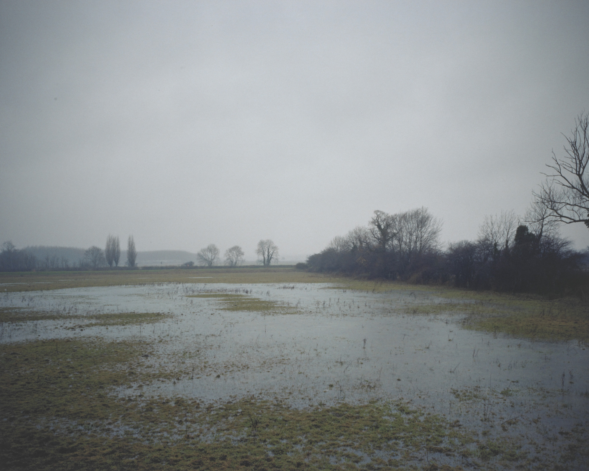 Paul Graham. Flooded Fields, Bedfordshire