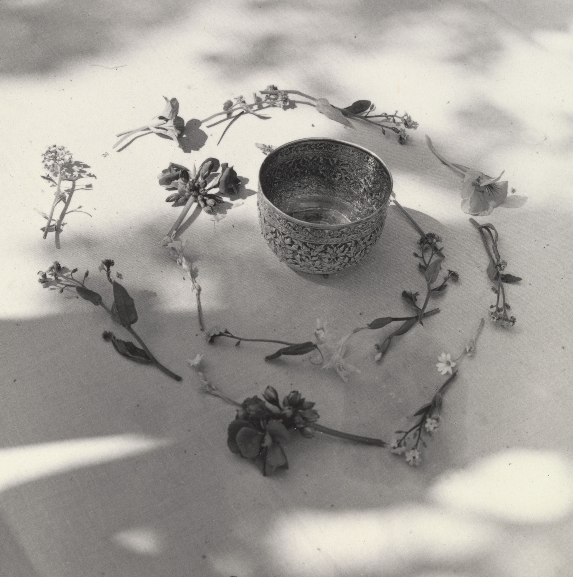Dorothea Lange Flower Arrangement 1954 Moma