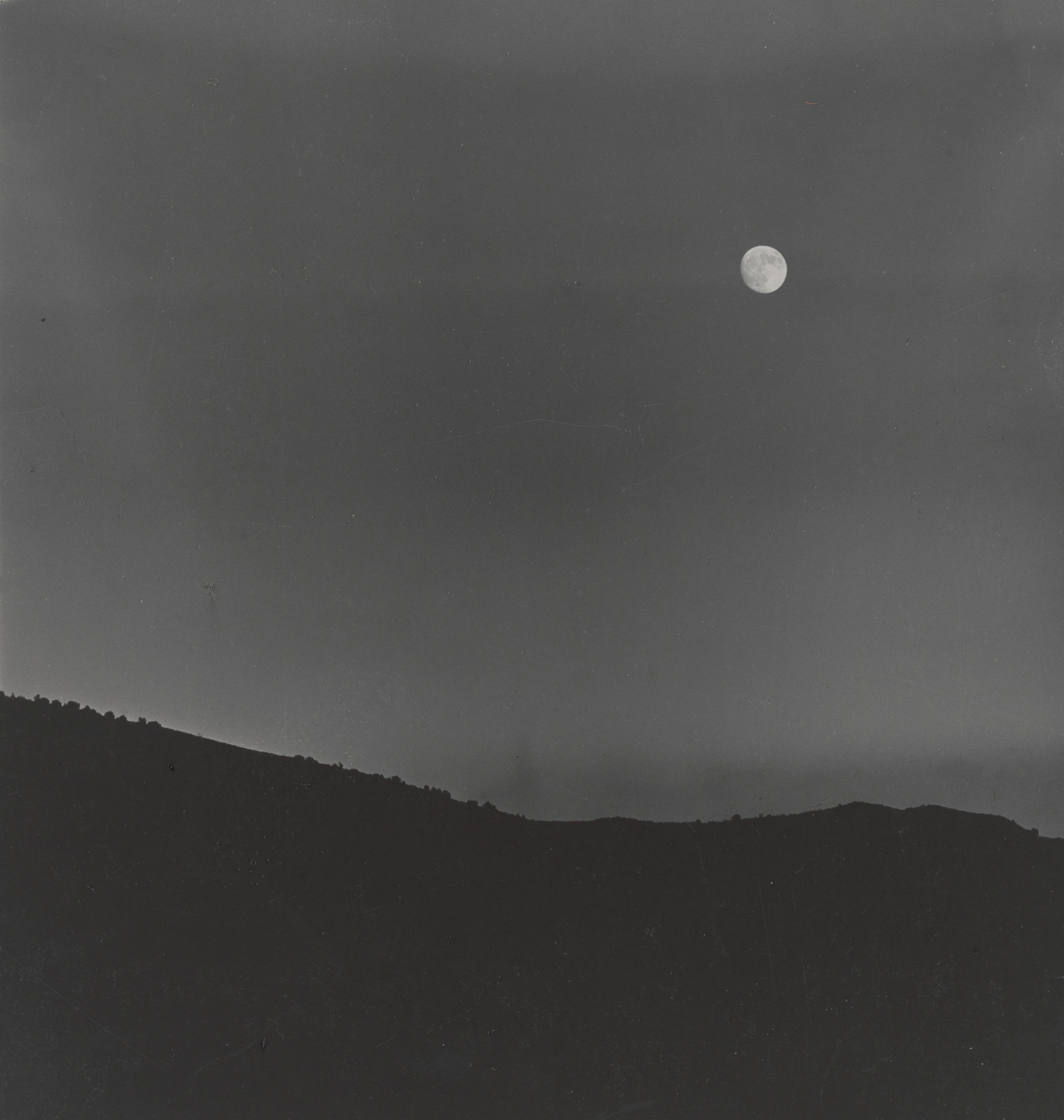 Dorothea Lange. Evening