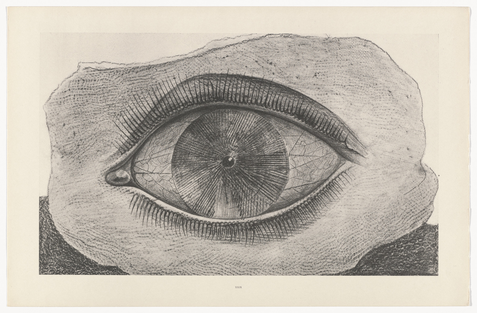 Max Ernst. The Wheel of Light (La Roue de la lumière) from Natural History (Histoire naturelle). c. 1925, published 1926