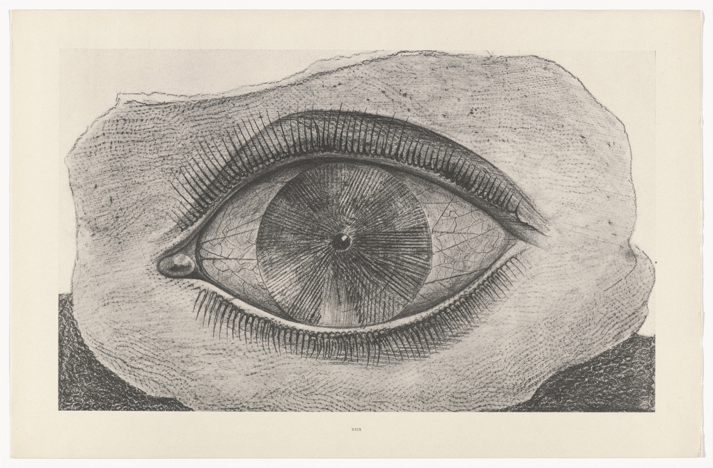 The Wheel of Light (La Roue de la lumière) from Natural History (Histoire naturelle), Max Ernst, c. 1925, published 1926