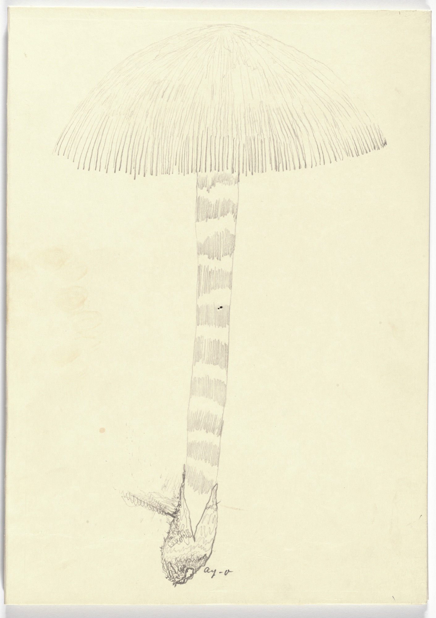 Ay-O. Folder front from Ouzel