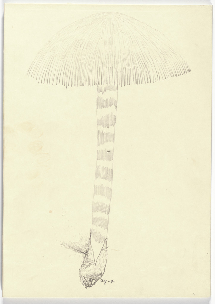 Folder front from Ouzel, Ay-O, 1971, published 1972