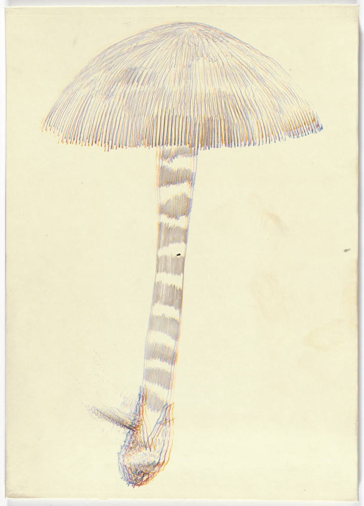 Folder back from Ouzel, Ay-O, 1971, published 1972