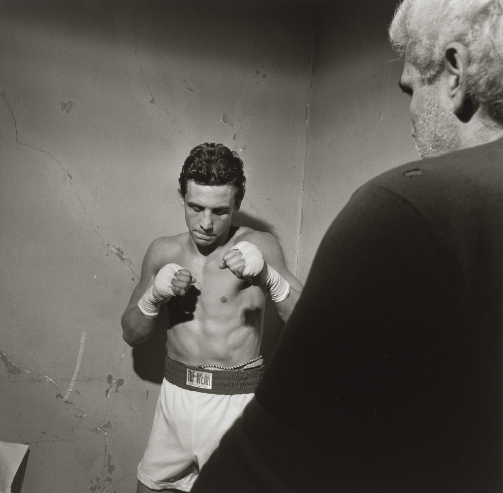 Boxer