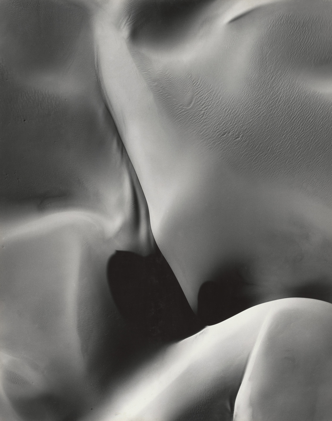William A. Garnett. Sand Dune Number 1, Death Valley, California. 1954