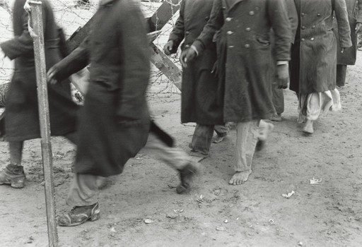 Egyptian Prisoners of War, Sinai Campaign