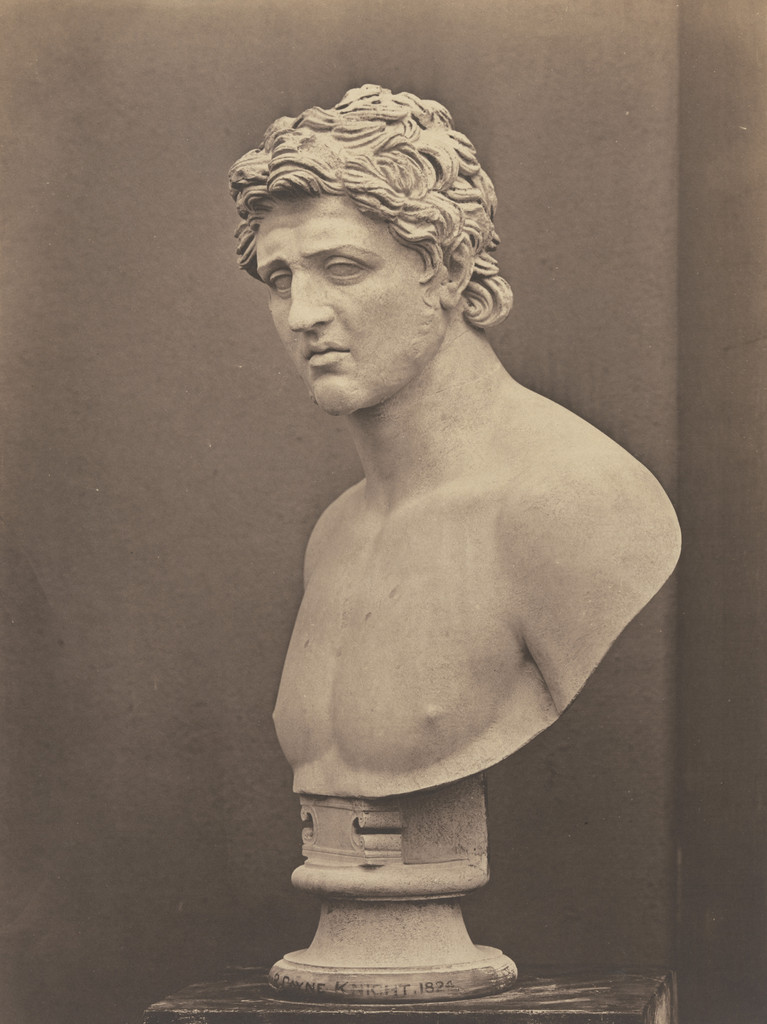 Bust