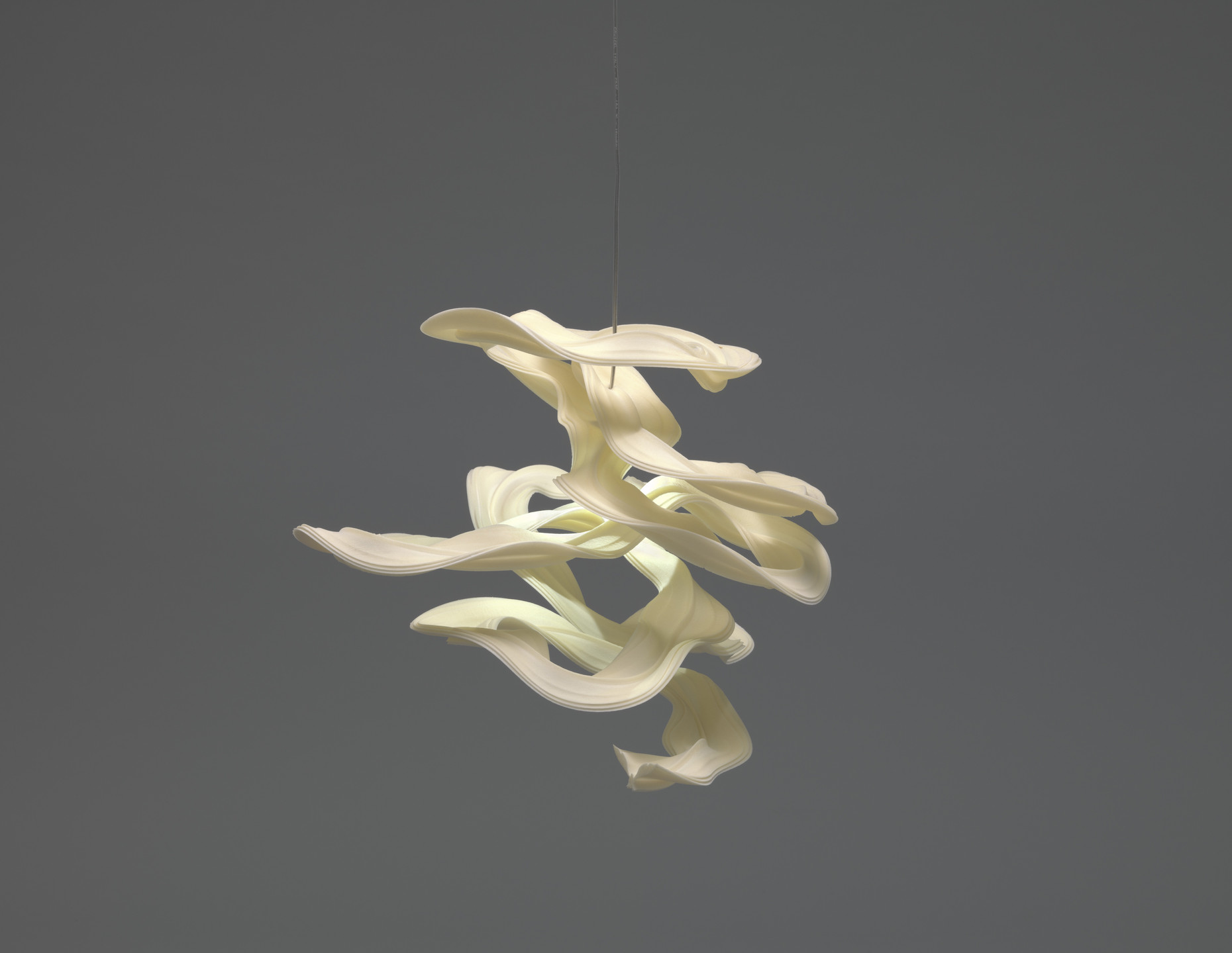 Geoffrey Mann. Attracted to Light from the Long Exposure series (Prototype). 2005
