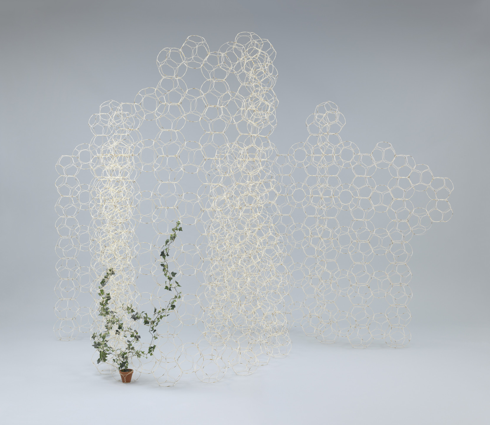 A delicate structure of interconnected, light-colored circular patterns stands against a light gray background. In front of it, a potted plant with green leaves climbs through the open spaces. This is an AI generated description. To give feedback, email ai@moma.org.