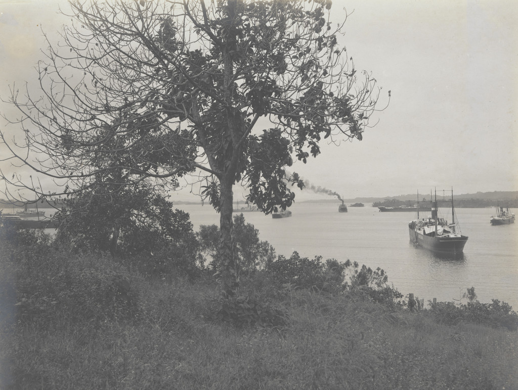Gatun Lake. Looking south from East Shore, showing vessels delayed on account of slides in the cut