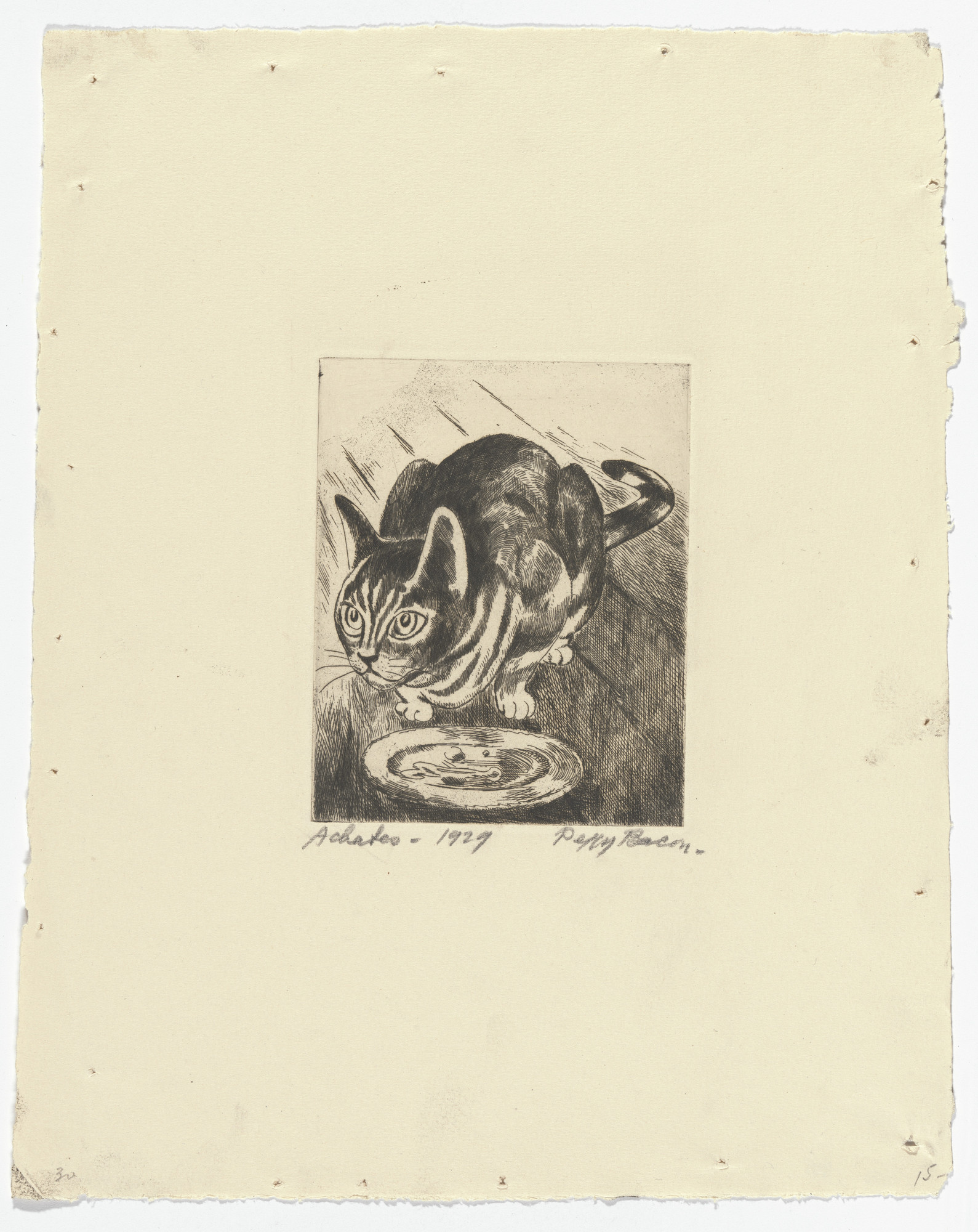 Peggy Bacon. Achates