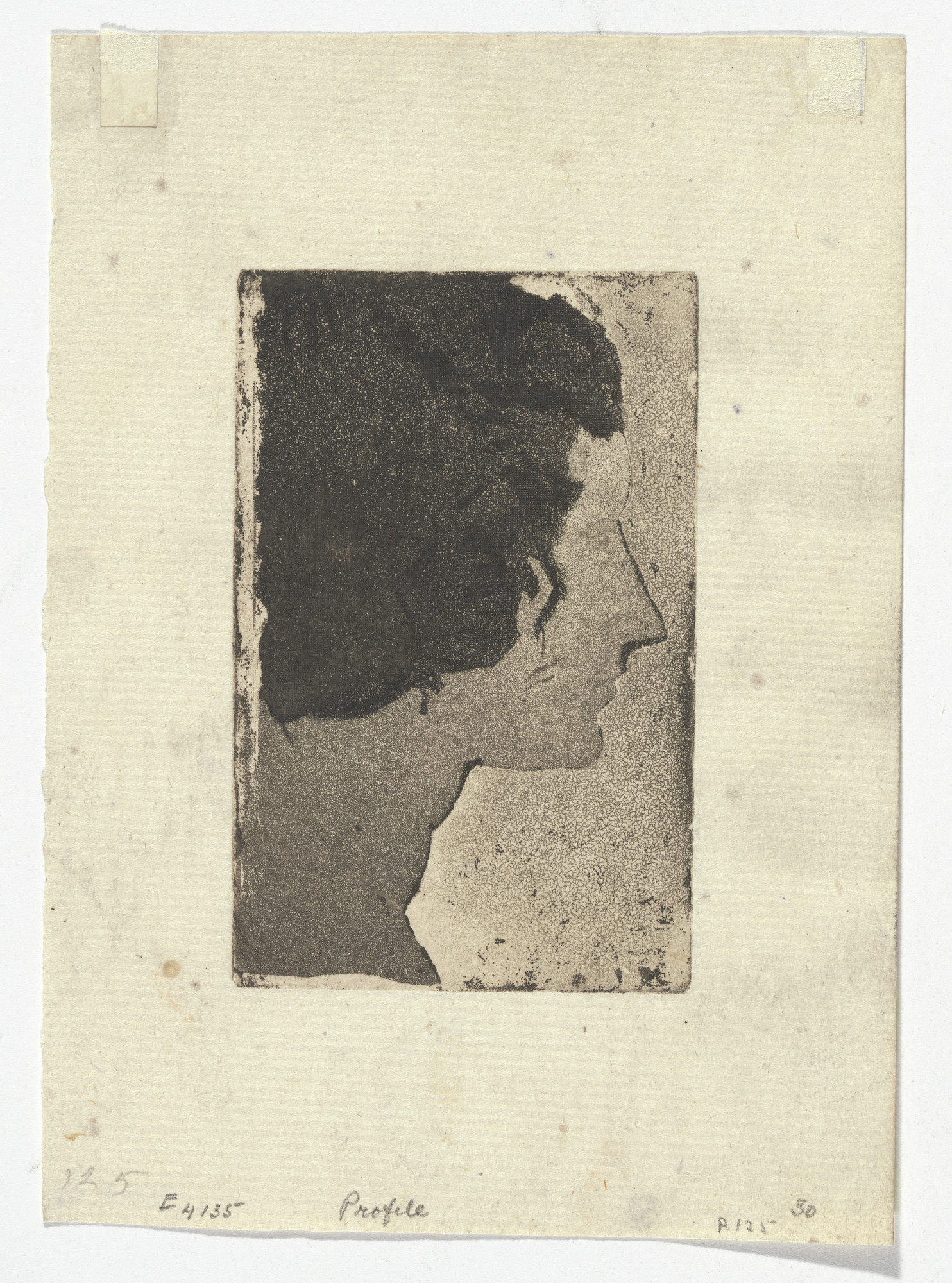 Arthur B. Davies. Profile