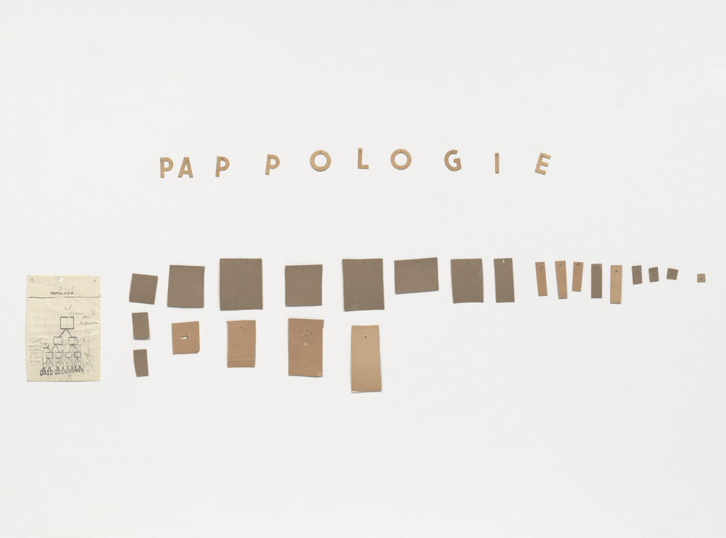 Cardboardology (Pappologie)