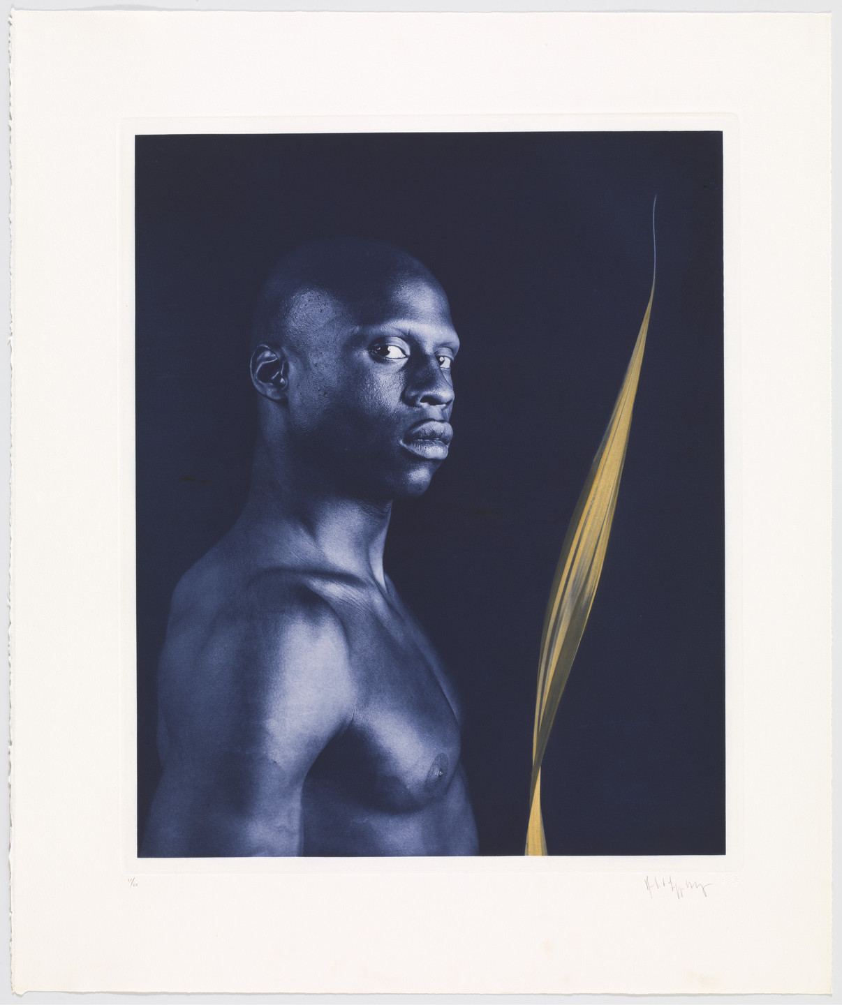 Robert Mapplethorpe. Untitled from the Ken Moody Portfolio. 1985