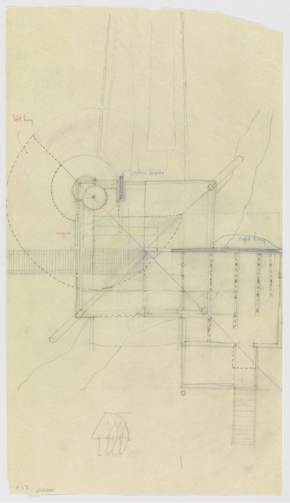 Oxygen House Project (Plan)