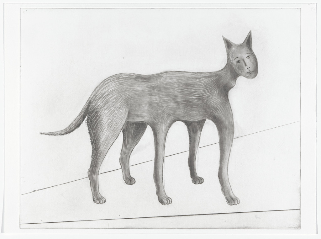 Drawing