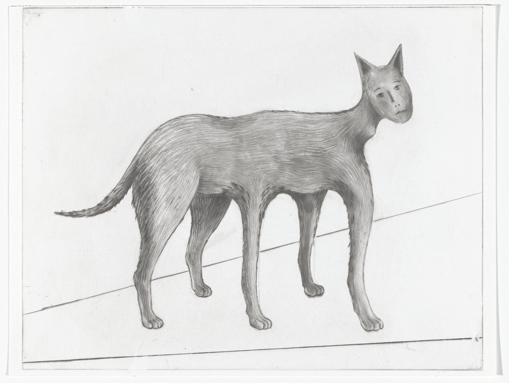 Drawing
