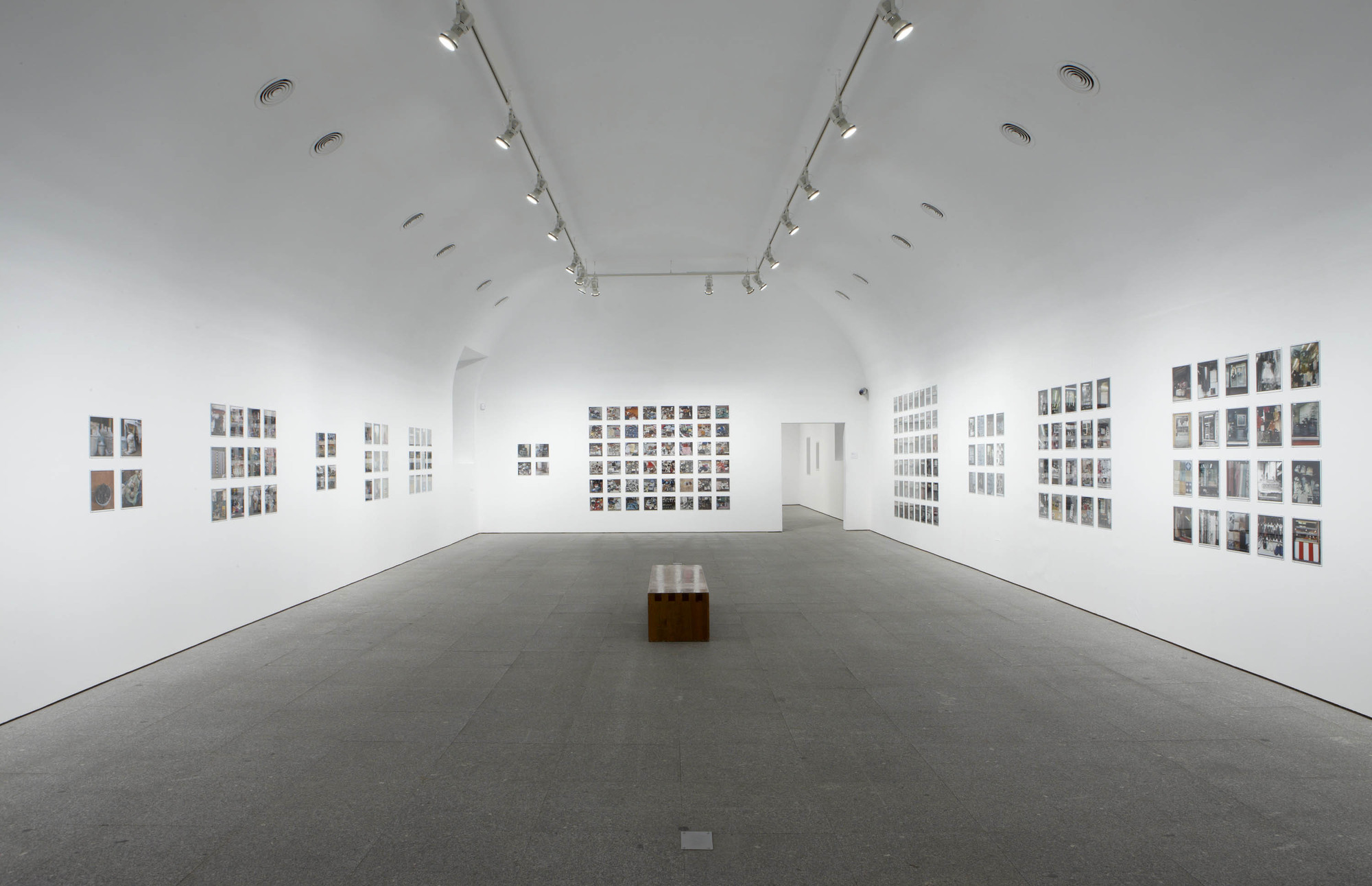 Zoe Leonard. Analogue. 1998-2009