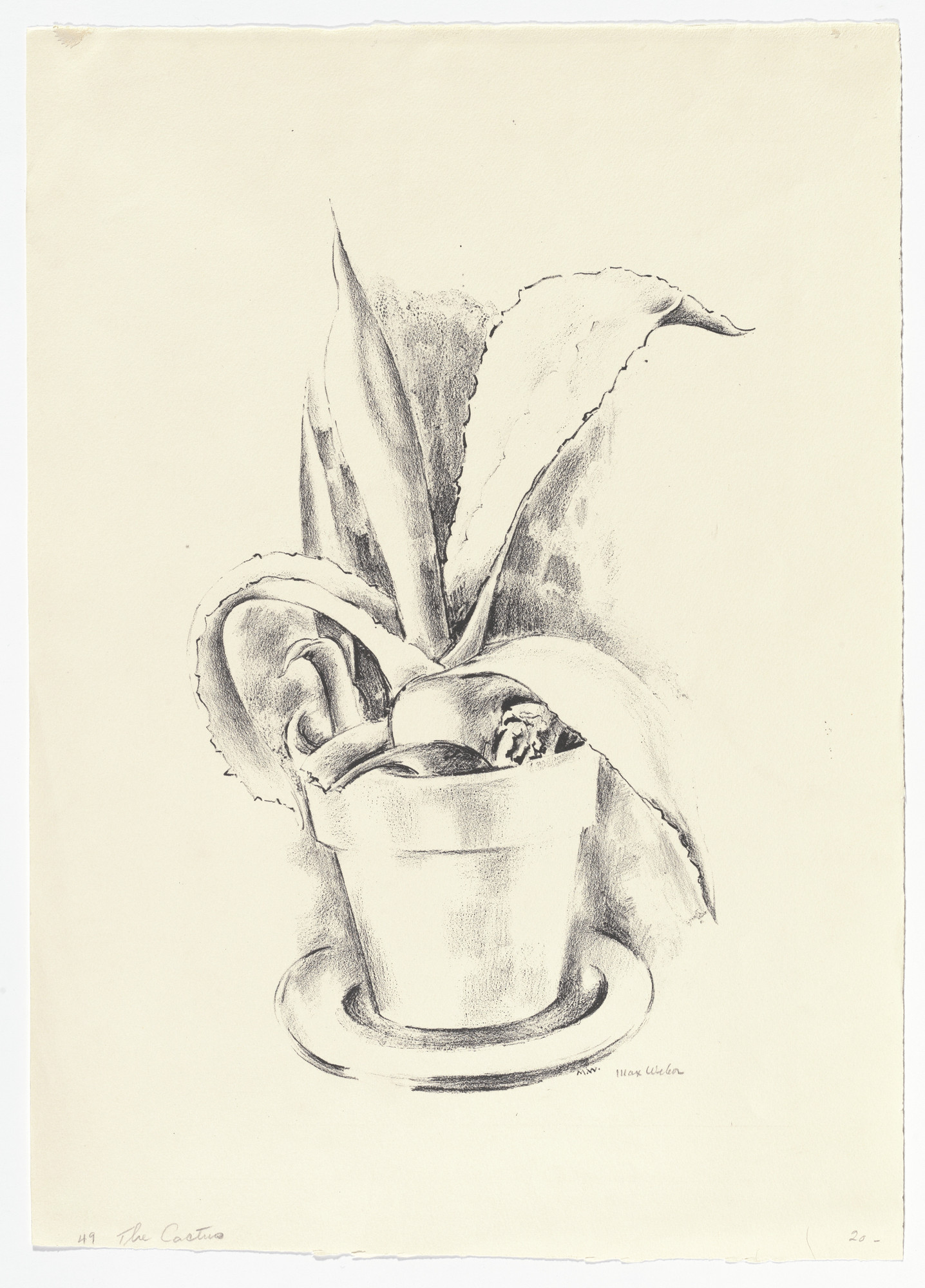 Max Weber. Cactus Plant