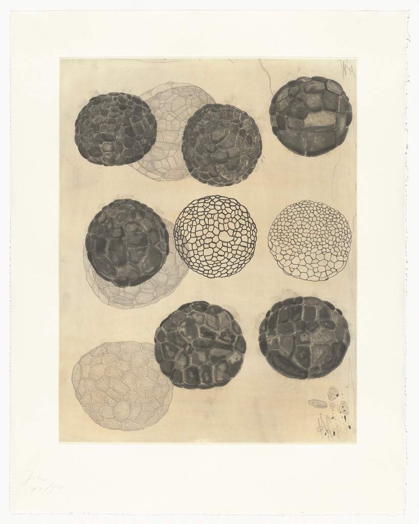 Untitled from Album