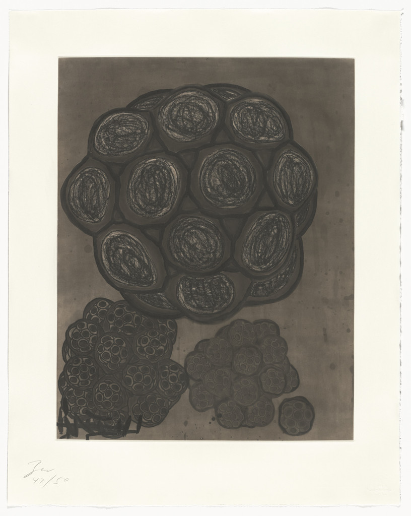 Untitled from Album, Terry Winters, 1988