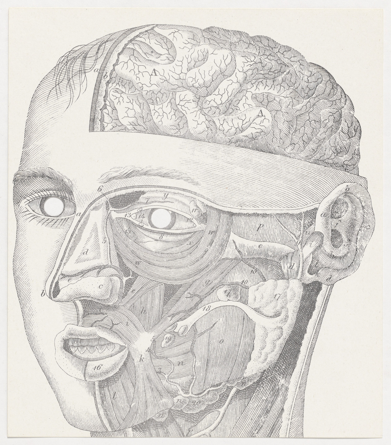 George Maciunas. Face Anatomy Mask. c. 1973