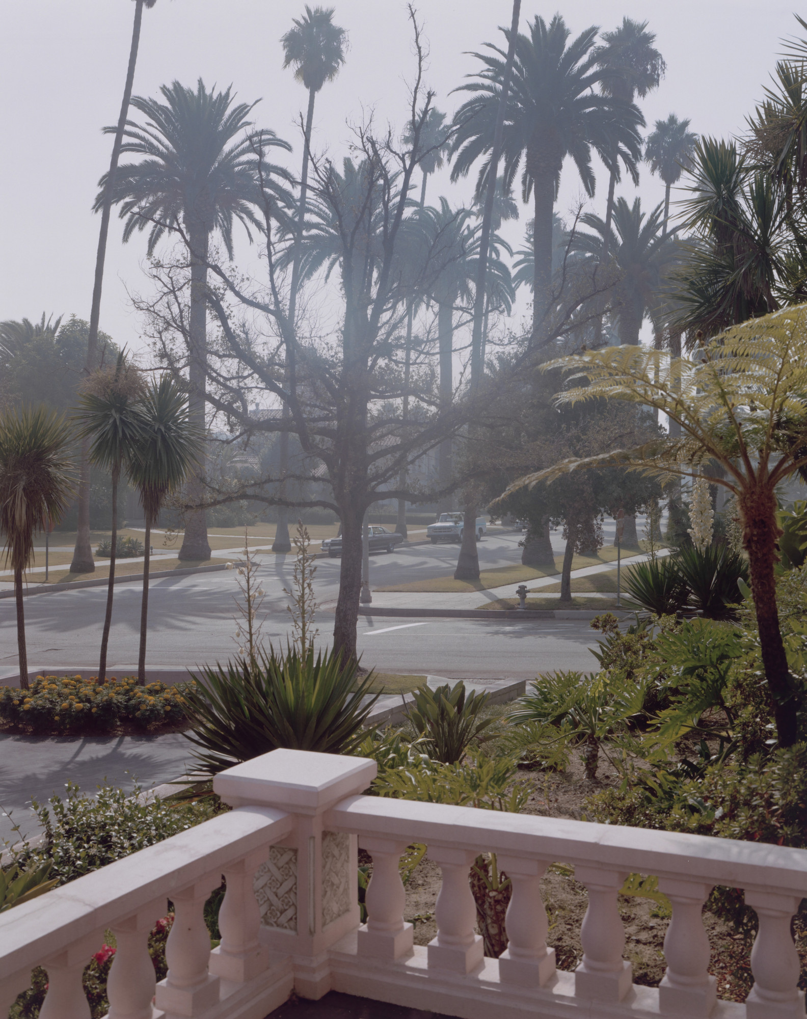 Stephen Shore. Foothill Road, Beverly Hills, California, September 10, 1974