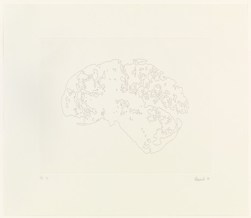 Mapping I (Brain)