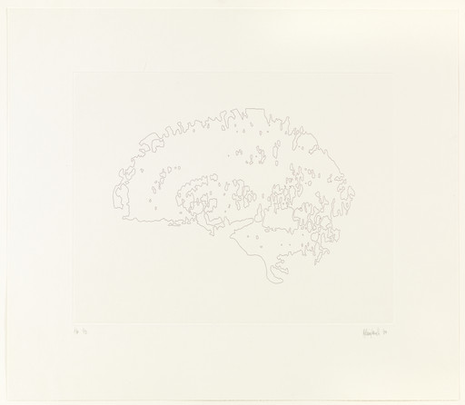 Mapping II (Brain)
